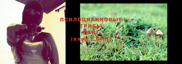 твердый Абинск