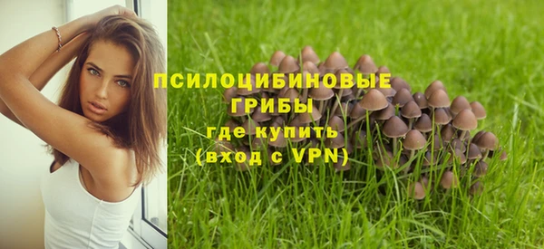 гашишное масло Абаза
